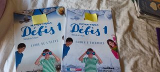 Libros de 4 de primaria