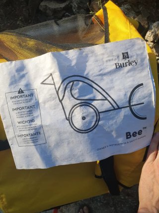 Remolque niño para bicicleta