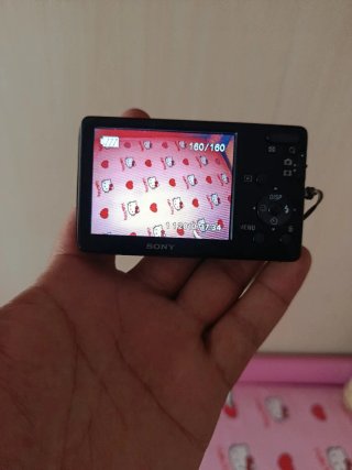 Fotocamera Sony DSC w-310