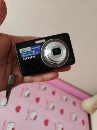 Fotocamera Sony DSC w-310