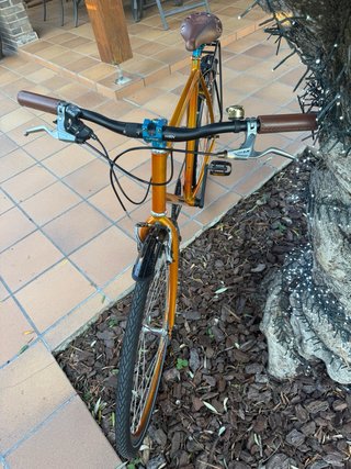 Bicicleta Clásica/Vintage Naranja