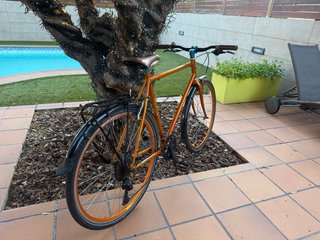 Bicicleta Clásica/Vintage Naranja
