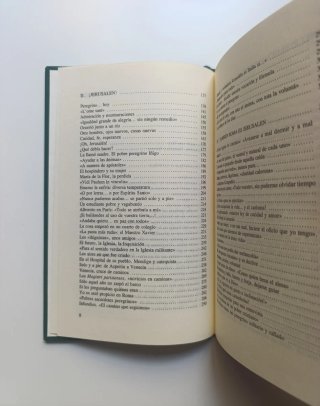Ignacio de Loyola, solo y a pie.