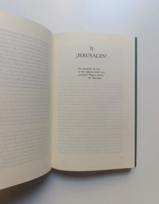 Ignacio de Loyola, solo y a pie.
