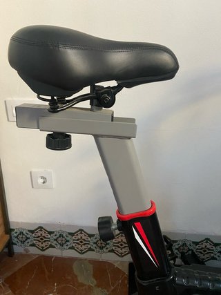 Bicicleta de Spinning Estática WONDERFIT