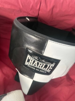 Guantes Boxeo Rival y Charlie + Protector coquilla