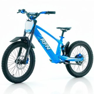 Bicicleta eléctrica sin pedales 750W 20" RFN Evo R