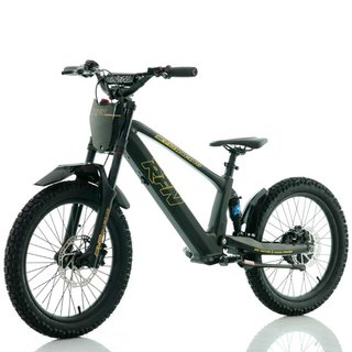 Bicicleta eléctrica sin pedales 750W 20" RFN Evo R