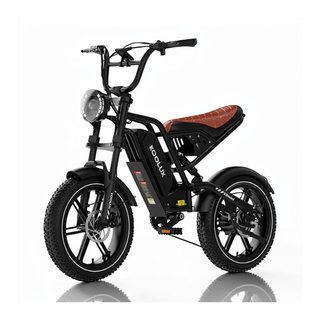 Bicicleta Eléctrica KOOLUX X9Mini 250W 16" Fatbike