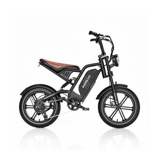 Bicicleta Eléctrica KOOLUX X9Mini 250W 16" Fatbike