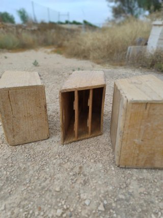 9 Cajones embolsado Uva Mesa Vinalopó