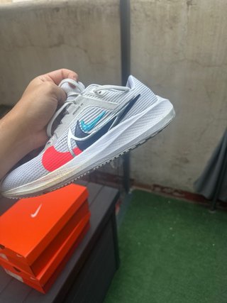 Nike pegasus 40