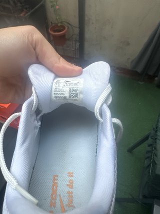 Nike pegasus 40