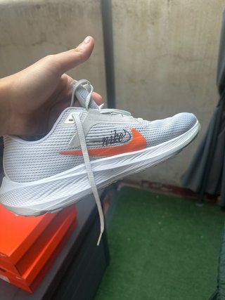 Nike pegasus 40