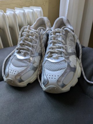 Zapatillas Dior Chrono Mujer Plata/Blanco