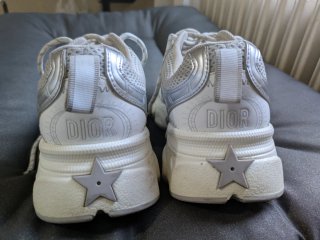 Zapatillas Dior Chrono Mujer Plata/Blanco