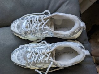 Zapatillas Dior Chrono Mujer Plata/Blanco