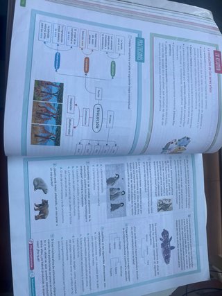 Biología y Geología, 4 Secundaria, Andalucía Re...