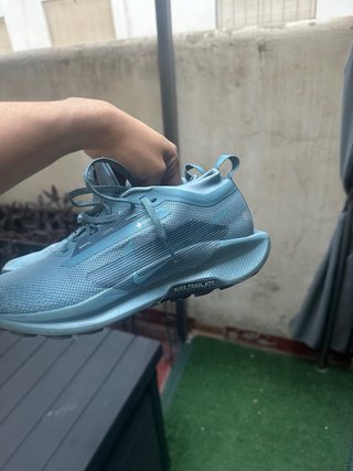 Nike pegasus trail x