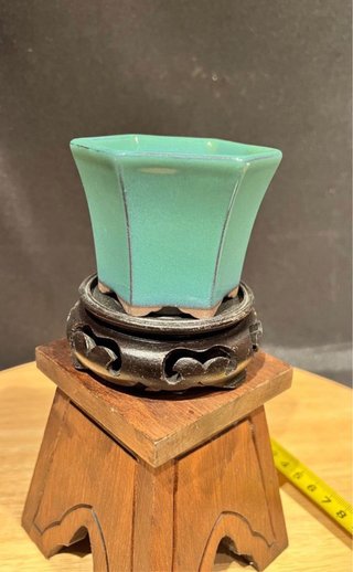 MACETA BONSAI MAME CASCADA JAPONESA VERDE