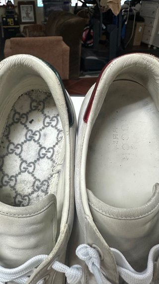 Snakers gucci new ace