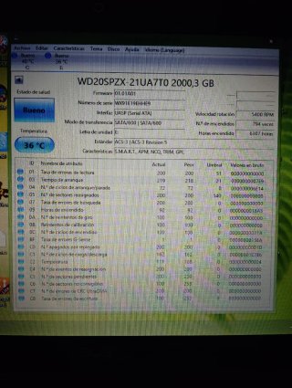 DISCO DURO WESTERN DIGITAL 2TB