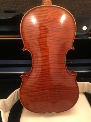 Violín 4/4 Semilutheria Francesa