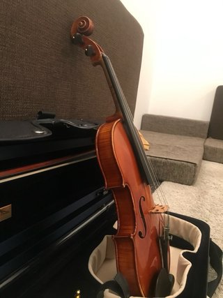 Violín 4/4 Semilutheria Francesa