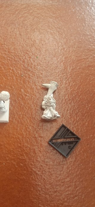 Warhammer Goblins Nocturnos VI