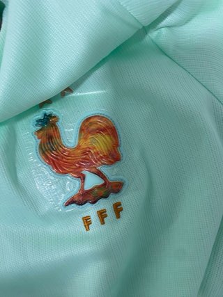 Camiseta de Francia verde
