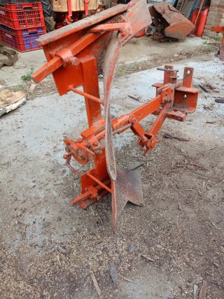 Vertedera pasquali