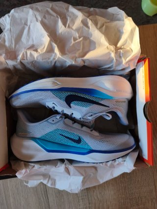 Nike Pegasus 41 Zapatillas Running Hombre/Mujer