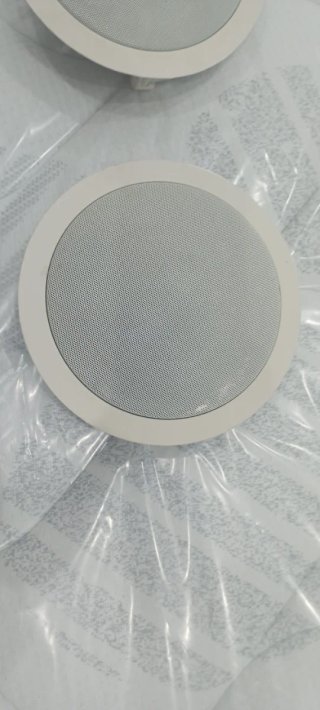 Altavoces de techo