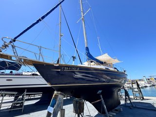 Velero Alpa A9