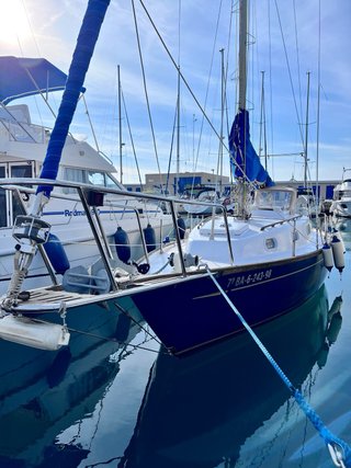 Velero Alpa A9