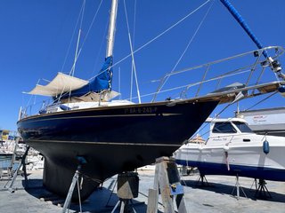 Velero Alpa A9