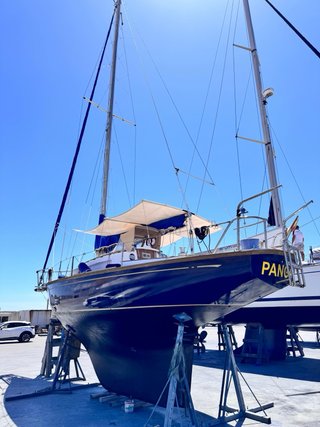 Velero Alpa A9