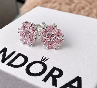 Conjunto  Flor Rosa Plata 925
