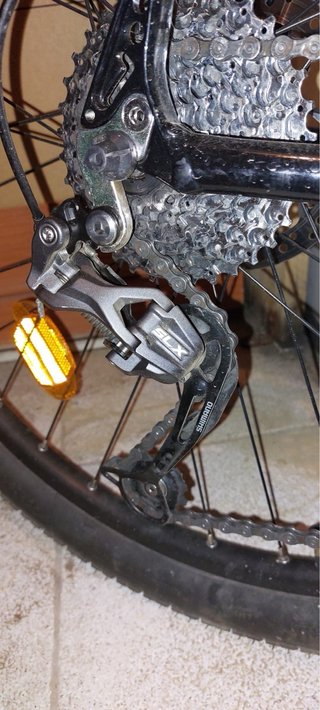 Bici Megamo Phoenix 2.0