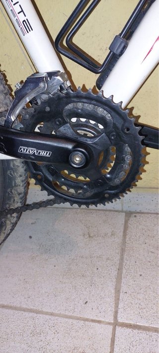 Bici Megamo Phoenix 2.0