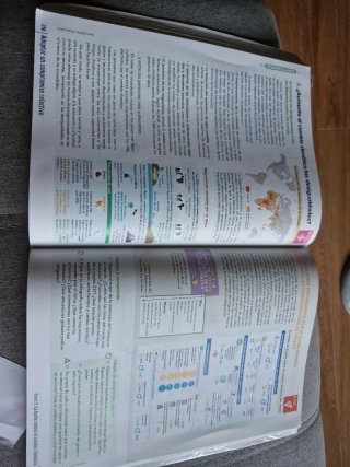 Geografía e Historia 2° ESO