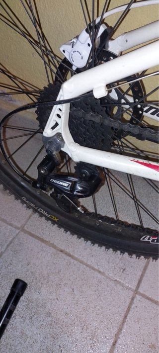 Bici Megamo Phoenix 2.0