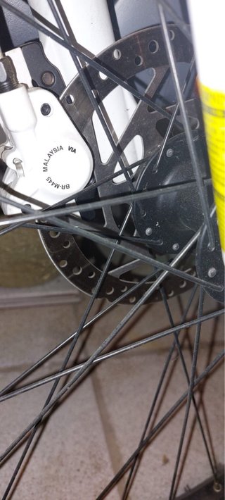 Bici Megamo Phoenix 2.0