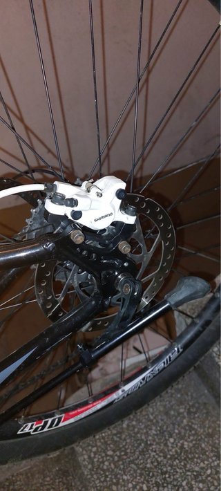 Bici Megamo Phoenix 2.0