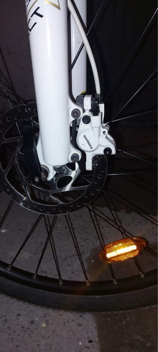 Bici Megamo Phoenix 2.0