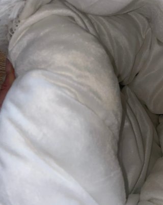 Cama Mascota Iglú Talls S