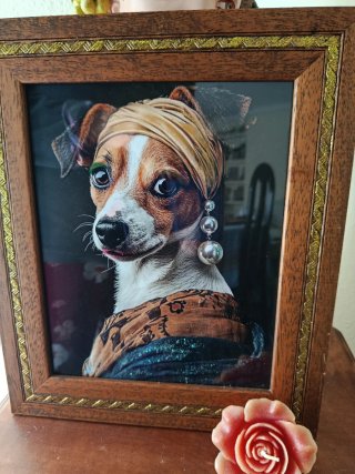 5 Láminas Perritos