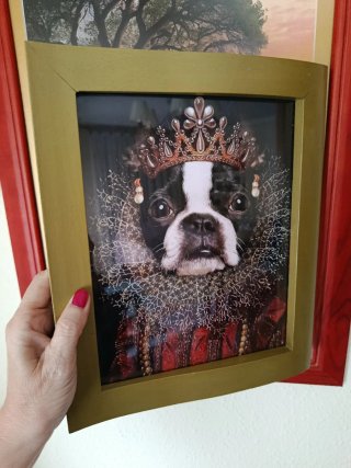 5 Láminas Perritos