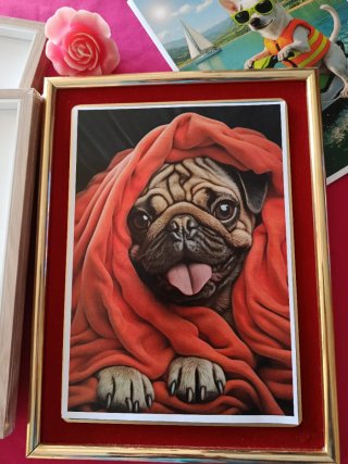 5 Láminas Perritos