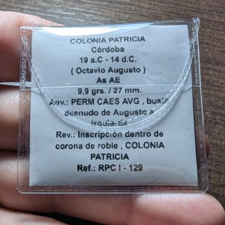 As Colonia Patricia ( Augusto )
